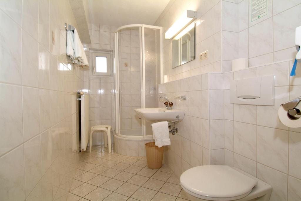 Hotel Alpina Regina — 3