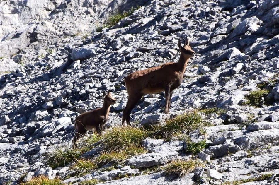 chalet Les Marmottons Cauterets — 5