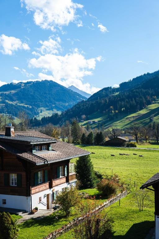 Hotel Spitzhorn Superieur — 5