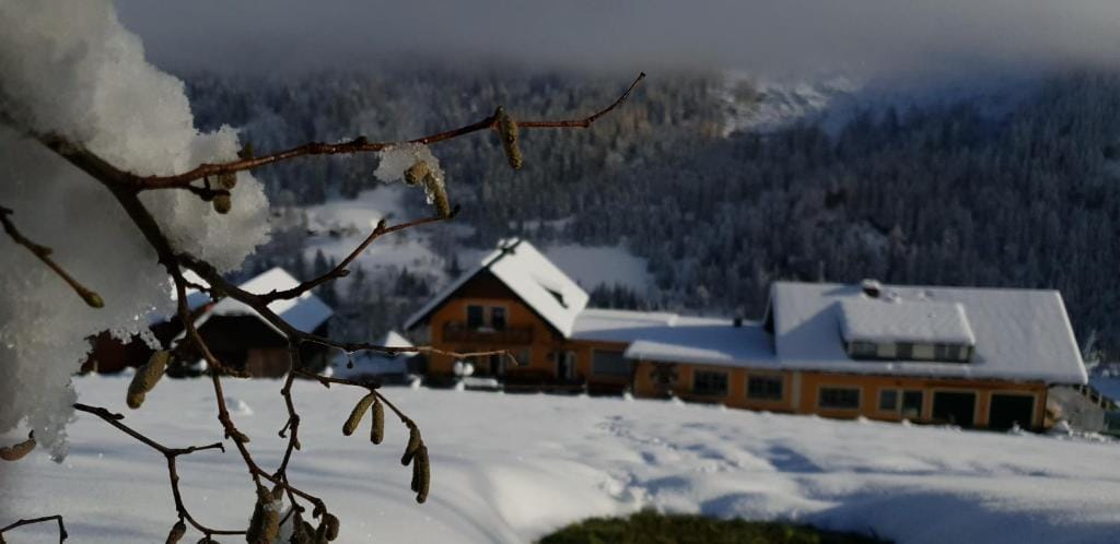 Pension Stieber — 5