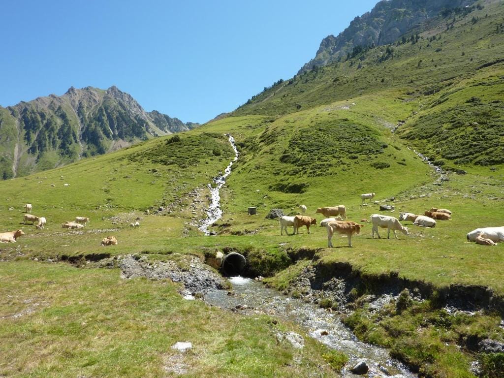 Résidence Mer & Golf Tourmalet — 3