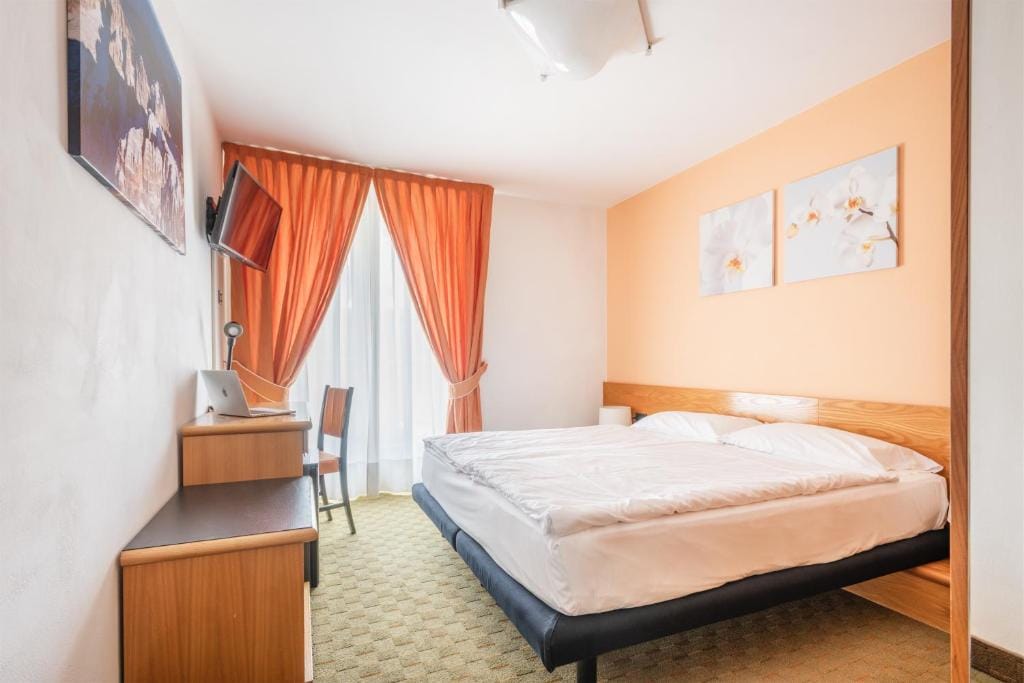 Hotel Alpina — 5