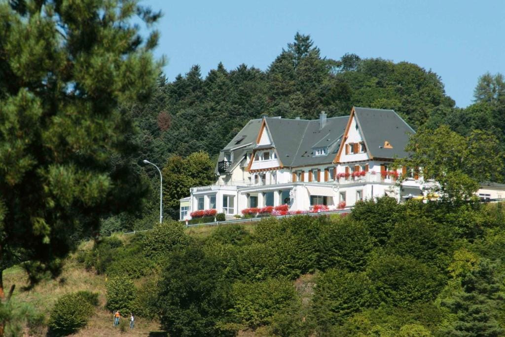 Logis Hôtel Restaurant Panorama — 4