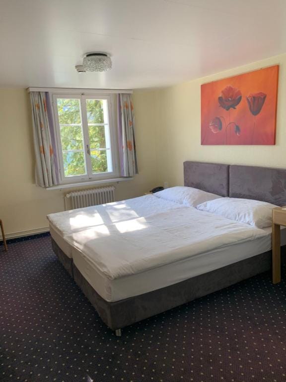 Hotel - Restaurant Eierhals am Ägerisee — 2