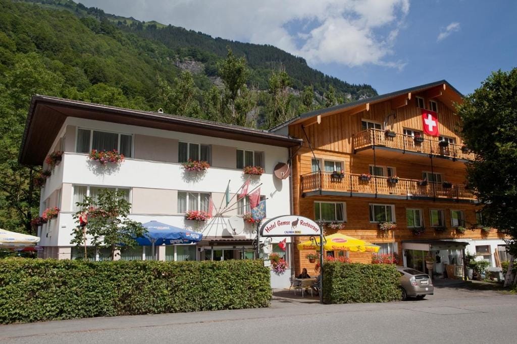 Weisstannen